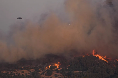 İzmir'de orman yangını