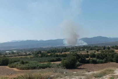 Osmaniye'de orman yangını