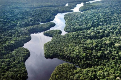 Dünya'nın en büyük akciğeri kuruyor!