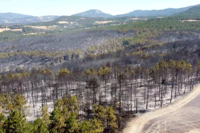 Mudurnu'da Biçerdöver Yangına Sebep Oldu, 1 Kişi Tutuklandı