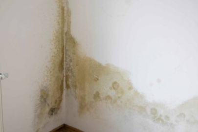 Rutubet problemine doğal çözüm