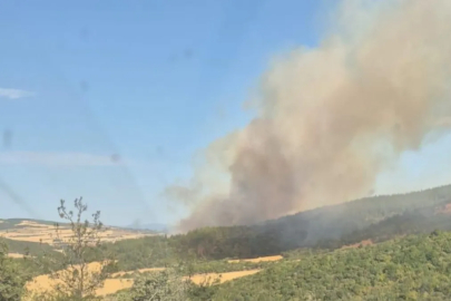 Çanakkale'de ormanlık alanda çıkan yangına müdahale ediliyor