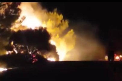 İzmir Urla'daki Orman Yangınına Müdahale Devam Ediyor