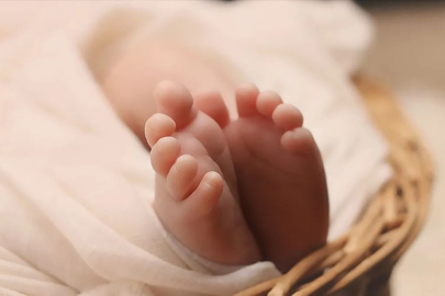 Türkiye nüfusu yaşlanıyor: Çocuk sayısı azalıyor, yaşlı nüfus artıyor