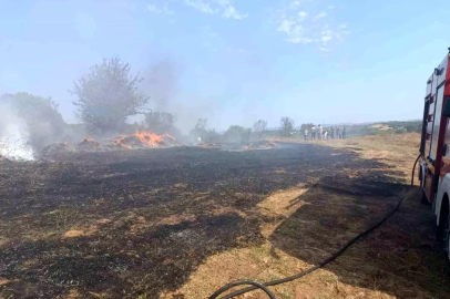 Balıkesir'de Zeytinlik Alanda Yangın Çıktı