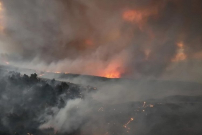 Çanakkale'nin ormanları alev alev yanıyor! Havadan ve karadan müdahale sürüyor