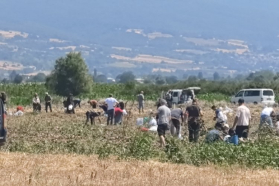 Çuval çuval doldurdular! Bursa'da satamadı bedavaya dağıttı