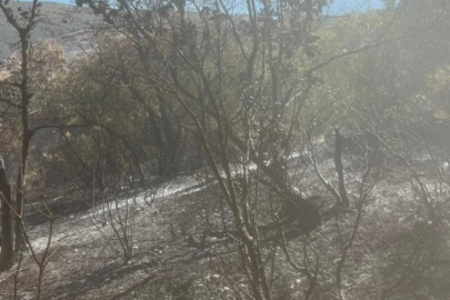 Bursa'daki yangına anında müdahale!