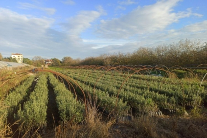 Bursa'dan dünyaya, milyonlara uzanıyor!