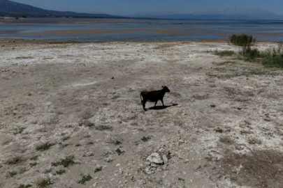 'Göl vefat etti, Türkiye'nin başı sağ olsun'