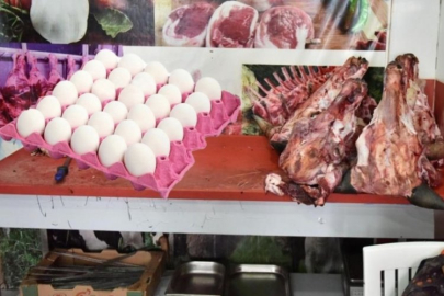 Yumurtadan hamam böceği yavruları çıktı!