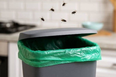 Evdeki iki basit malzemeyle sinekleri çöp kutunuzdan uzak tutabilirsiniz