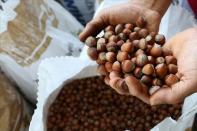 Fındık fiyatı ne kadar?