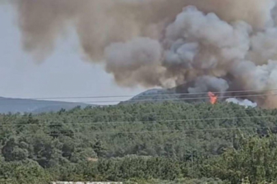 4 ilde orman yangınlarıyla mücadele! Gözaltına alınanlar var...