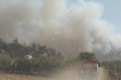 Çanakkale'de orman yangını çıktı: Havadan ve karadan müdahale devam ediyor