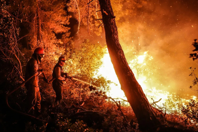 Çanakkale'de orman yangını çıktı: Havadan ve karadan müdahale devam ediyor
