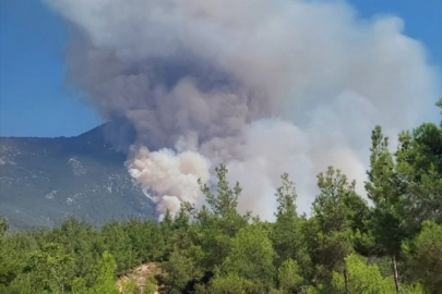 Denizli'de orman yangını! Havadan ve karadan müdahale ediliyor