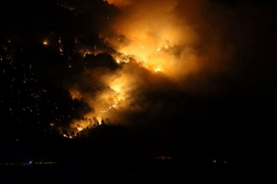 İki ilimizde orman yangını! Müdahale sürüyor