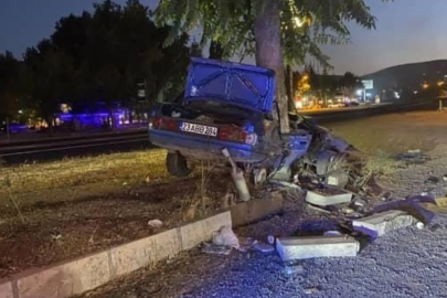 Elazığ'da ağaca çarpan araç hurdaya döndü
