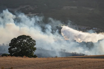 Balıkesir'de orman yangını çıktı: Uçak ve helikopterle müdahale ediliyor