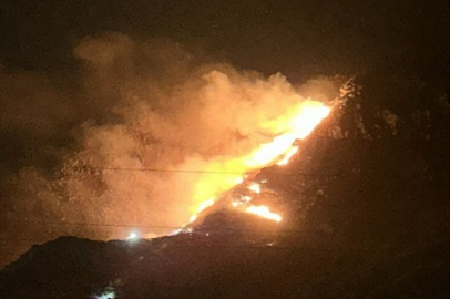 Balıkesir Marmara Adası'nda yangın!