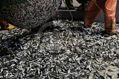 Bursa'da balıkçılar 'vira bismillah' diyecek!