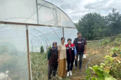Sinop'ta Kadın Üreticilere Sera Naylonu Desteği