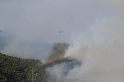 Bursa'da ormanlık alanda yangın çıktı