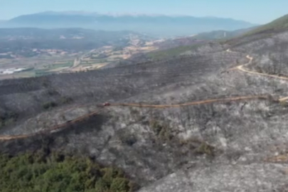Bursa'da yanan ormandan geriye gri görüntü kaldı