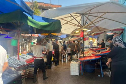 Balık sezonu açılıyor! Bu yıl hamsi bereketi yaşanacak...