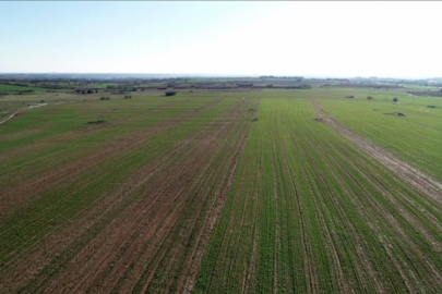 Devletten kiralık tarla! Tarımda yeni dönem başlıyor