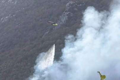 Küre Dağları Milli Parkı'nda orman yangını