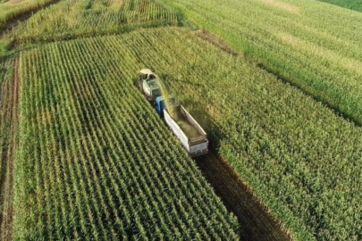 Tarım ve Orman Bakanlığı'ndan yeni hamle: İşlenmeyen tarım arazileri kiraya çıkıyor