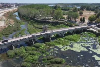 Tunca Nehri'nde korkutan görüntüler: İlk kez görüyorum