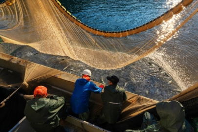 Vira Bismillah! Denizde av sezonu 1 Eylül'de başlıyor