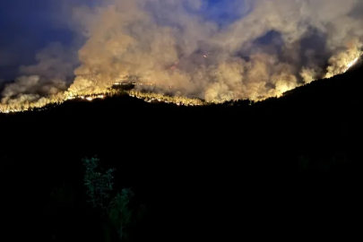 İbrahim Yumaklı'dan yurt genelindeki yangınlara ilişkin açıklama