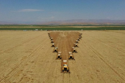 İşte 5 soruda ekilmeyen arazi düzenlemesi