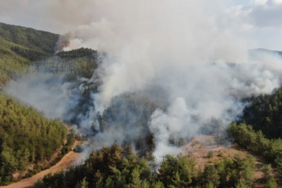 Kastamonu-Karabük sınırında ikinci orman yangını: Alevlere müdahale ediliyor