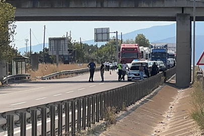Sakarya'da ağaçlık alanda yangın
