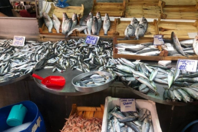 Bursa'da sezon açıldı!