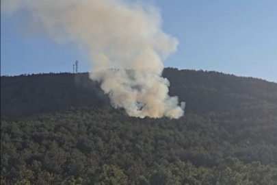 Orman yangınına sebep olan 2 kişi gözaltına alındı
