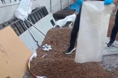 Sakarya'da fındık çuvalının içinden çok sayıda uyuşturucu madde çıktı