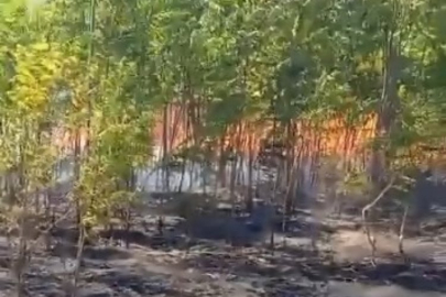 Bursa'da lise bahçesi alevlere teslim oldu!