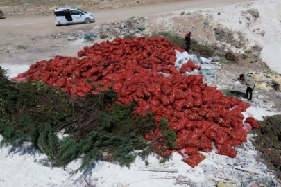 Tonlarca soğan, boş araziye atılmış halde bulundu