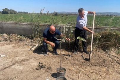 Bursa'nın 'Ağaççı Hoca'sından örnek davranış: Yanan her ağaç için 10 fidan