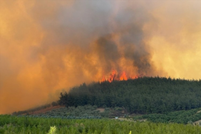 Bursa Valiliğinden, Gündoğdu'daki yangın ile alakalı açıklama geldi...