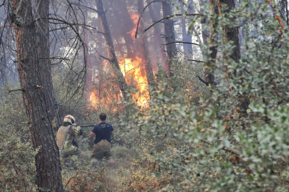 Büyükşehir'den Gündoğdu yangını seferberliği