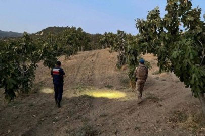İncirlerin başında tüfekle nöbet tuttular! Bir buraya dadanmamışlardı...