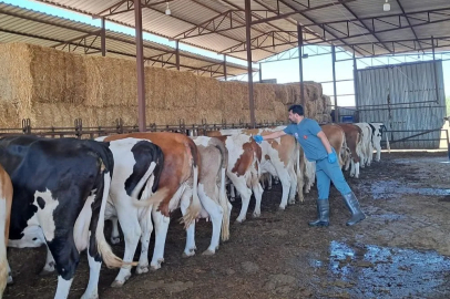 Nazilli'de 14 mahalleye karantina uygulaması