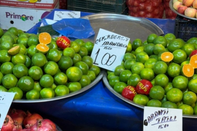 Bursa'da sezonu erken başladı! Fiyatı dudak uçuklattı